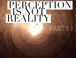 Perception Is NOT Reality – Part I