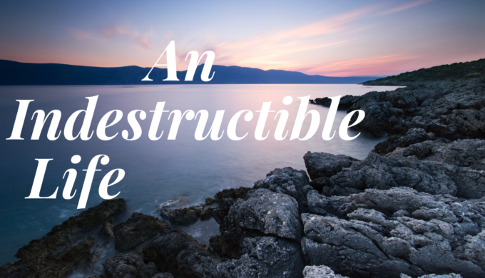 An Indestructible Life