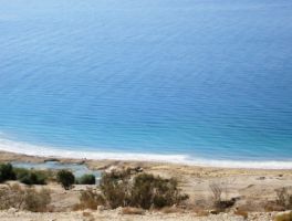 The Dead Sea and Me