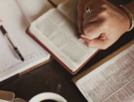 The Struggle Is Sacred: Encouragement for Women Stepping Into Mentoring
