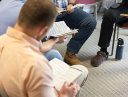 The “Why” Behind Investing in Radical Mentoring